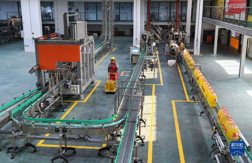 新华全媒丨国家级食用油保供企业数字化改造 润滑油脂保障能力再升级